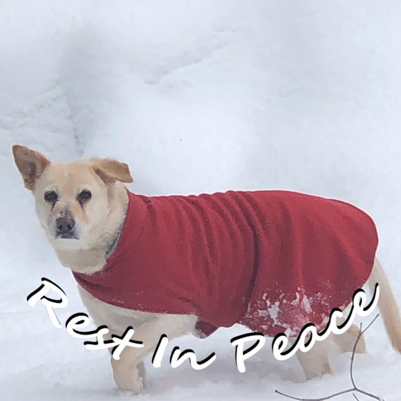 Profile Picture of Jeffery Bolt (@jeffmbolt) on Poshmark