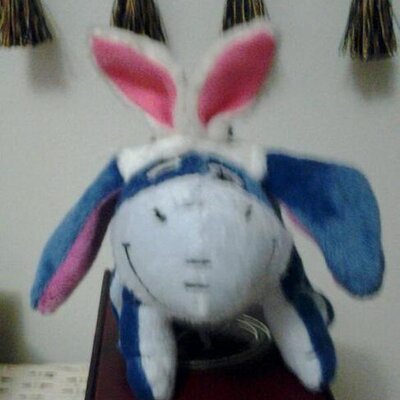 Profile Picture of Nancy Mansour (@eeyoremama11) on Twitter