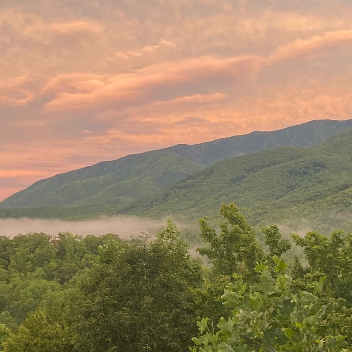 Profile Picture of phillip harrup backup (@phillip.harrup.backup) on Tiktok