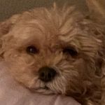 Jenna Robinson - Instagram Profile Picture of Jenna Robinson (@jenna_robinson) on Instagram