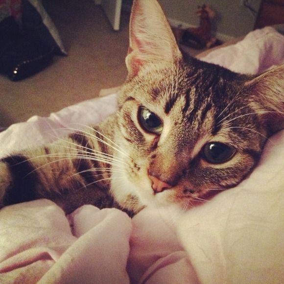 Profile Picture of Charlotte Imblum (@crimblum) on Poshmark