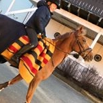 Profile Picture of Linnea Ovidia Fossnes (@linneafossnes) on Instagram