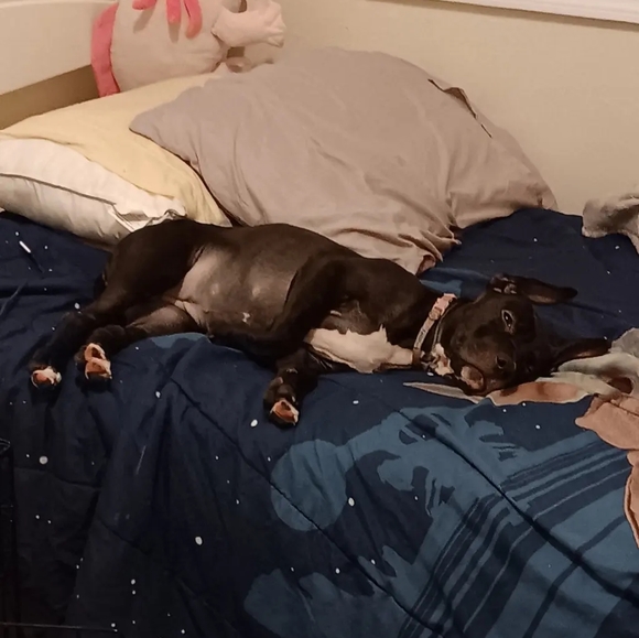 Profile Picture of Phenyxx Mabine (@n3xx27) on Poshmark