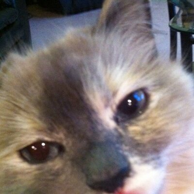 Profile Picture of Tammy Fillion (@TammyTrask) on Twitter