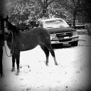 Profile Picture of David Mascorro (@204806515) on Myspace