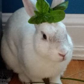 Profile Picture of Julianne Madden (@jmmadden2000) on Pinterest