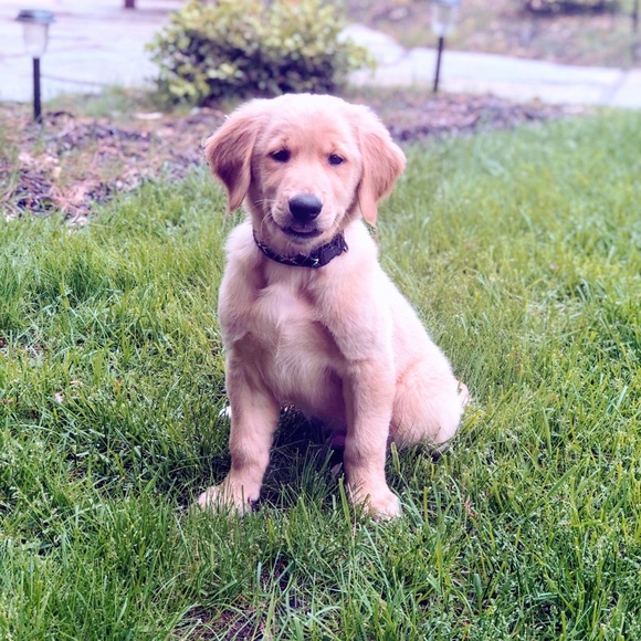 Profile Picture of Jessica Mossing (@jmoss26) on Poshmark