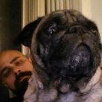 Profile Picture of Robert Emery (@rce1979) on Instagram