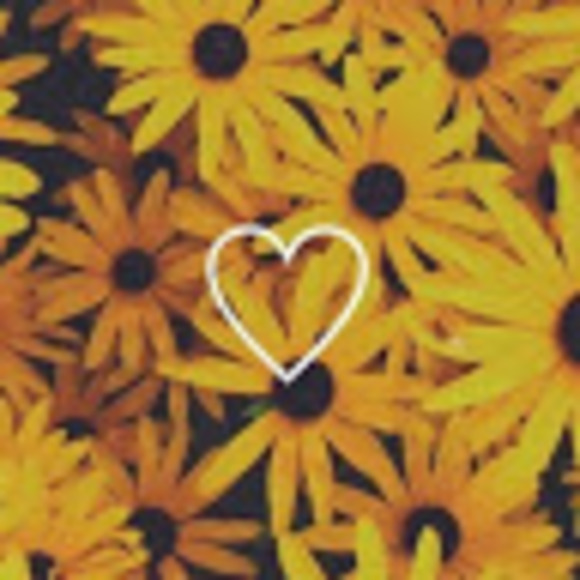 Profile Picture of Joyce Barrett (@jfbarrett29) on Poshmark