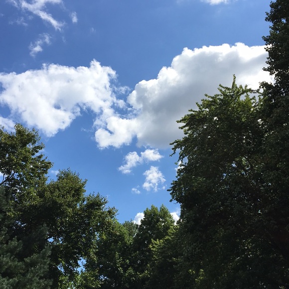 Profile Picture of Chris Carnero (@carnero1) on Poshmark