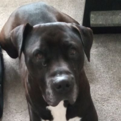 Profile Picture of Ryan Watton (@RyanWatton9) on Twitter