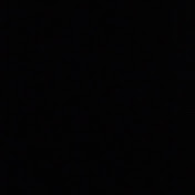 Profile Picture of Missy Morgan (@missymorgan8033) on Youtube
