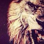 Profile Picture of john_tarantino (@john_tarantino) on Instagram