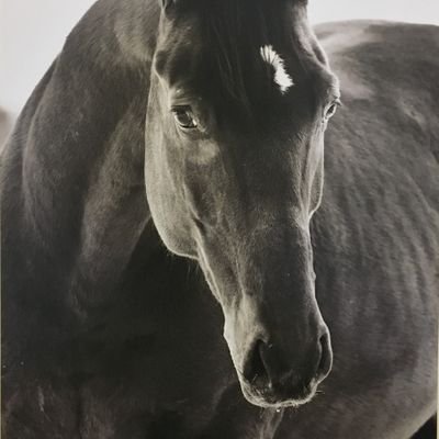 Profile Picture of Shawn Louis (@lawnmower2020) on Twitter