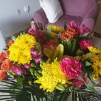 Profile Picture of AJ Hummel (@aj.hummel.5) on Facebook