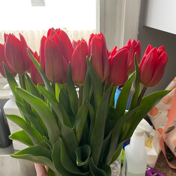 Profile Picture of Kate Campione (@katelyncamps419) on Poshmark