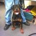 Profile Picture of Tim Ryan (@tim.ryan.7543653) on Facebook