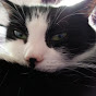 Profile Picture of Alice Chapman (@@alicepc) on Tiktok