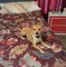 Profile Picture of Anne Dorton (@anne.dorton.73) on Facebook