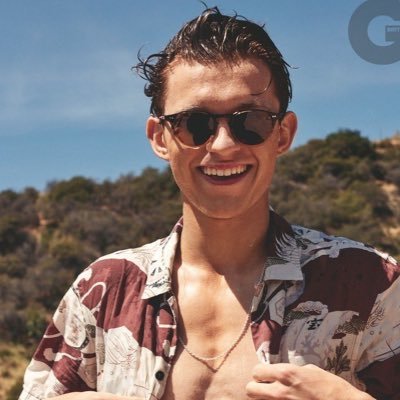 Profile Picture of Tom Grey (@SpideyFightBoy) on Twitter