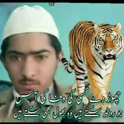 Profile Picture of Hamza Sharif (@hamzasharif6735) on Youtube