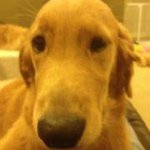 Profile Picture of Mike Barnard (@mikebarnard428) on Instagram