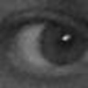 Profile Picture of Scott Bird (@scottbird) on Flickr