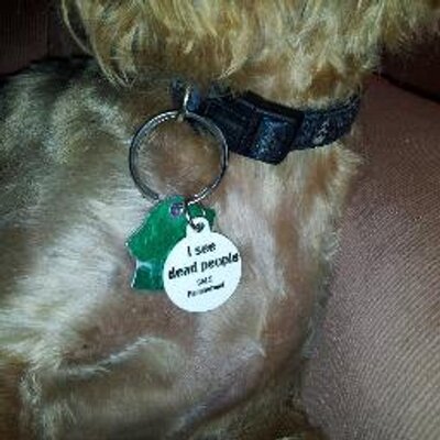 Profile Picture of Chris Pollock (@linux_guy1) on Twitter