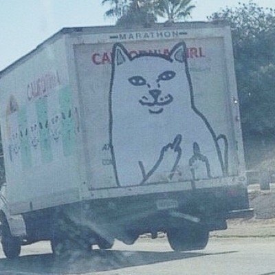 Profile Picture of Haley Creech (@asap_hales) on Twitter