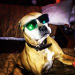 Profile Picture of Andres Couturier Alonso (@andres_couturier) on Instagram