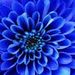 Profile Picture of Julianna Cornette (@jucornette26) on Pinterest