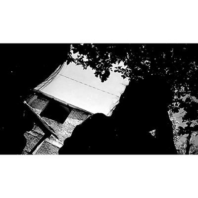 Profile Picture of Yuridia González (@YuridiaGonzle16) on Twitter