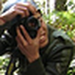 Profile Picture of Simon Li (@sevenhungrybadgers) on Flickr