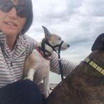 Profile Picture of Paula Worcester (@paulaworcester) on Instagram