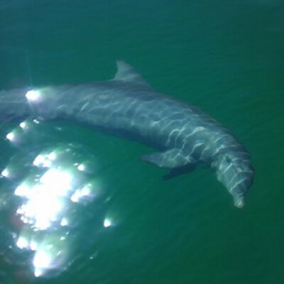 Profile Picture of Steve Przybyla (@mrace420) on Twitter