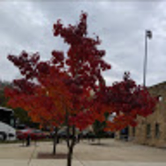 Profile Picture of Alexander Wimbush jr (@awimbush974) on Poshmark