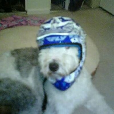 Profile Picture of Colin Gates (@gator52ref) on Twitter