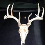 Profile Picture of Max Kevin Goff (@maxkevingoff) on Instagram