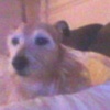 Profile Picture of Diane Scales (@dianescales1) on Tiktok