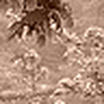 Profile Picture of Tom Horton A.n (@tom horton a.n) on Flickr