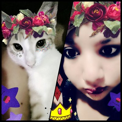 Michelle Cossio - Twitter Profile Picture of Michelle Cossio (@MichelleCossio3) on Twitter