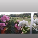 Sonia Abella - Instagram Profile Picture of Sonia Abella (@sonia.ablo) on Instagram