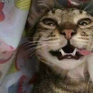 Profile Picture of Julian Espitia (@julian.espitia.3194) on Facebook