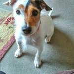 Profile Picture of Jean Walmsley (@jeanwalmsley) on Instagram