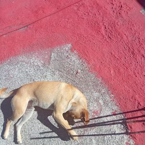 Profile Picture of Norma Quiles (@norma.quiles61) on Tiktok