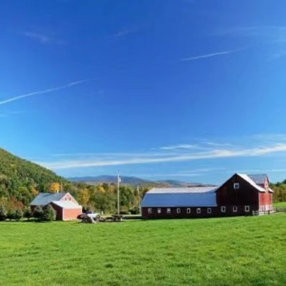 Profile Picture of Sam Lasasso (@doddhestergg) on Poshmark