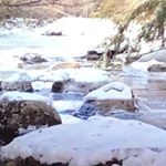 Maggie Dunphy Murray - Instagram Profile Picture of Maggie Dunphy Murray (@maggiewaltfam5) on Instagram