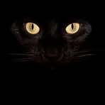 Profile Picture of Mischell Smith (@Mischell-Smith) on Facebook