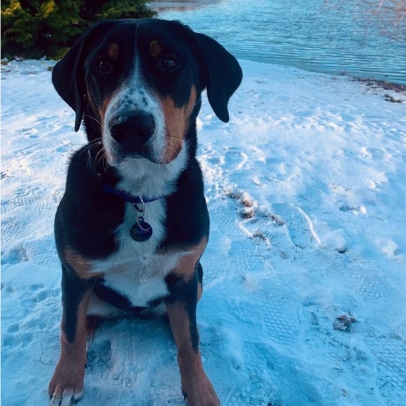 Profile Picture of Eloise Plevier (@eloplevier) on Poshmark