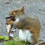 Profile Picture of Cindy Shrout Pilon (@cindy.shroutpilon) on Facebook